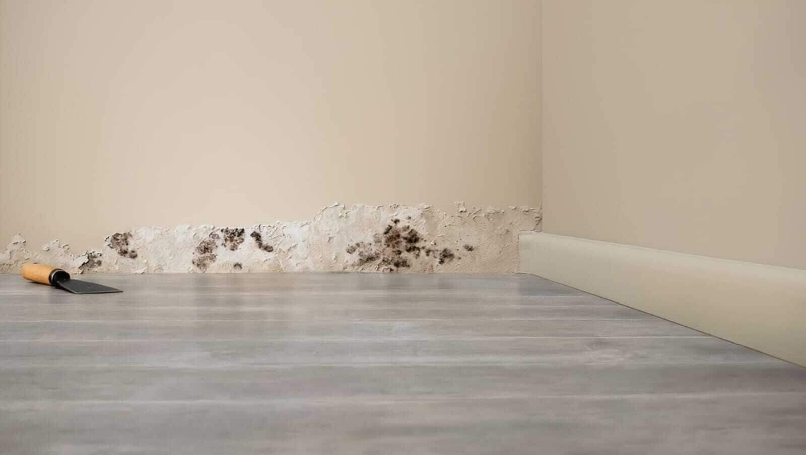 Water damage and a swollen baseboard along a wall in a Dallas, TX home after a burst pipe