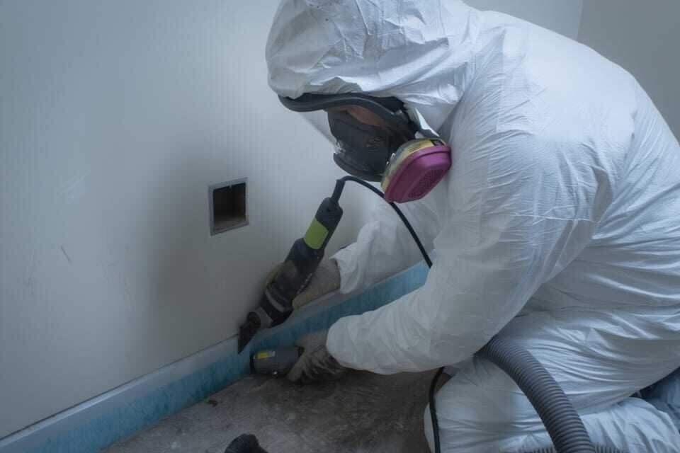 Technician removing black mold from a water-damaged Dallas wall