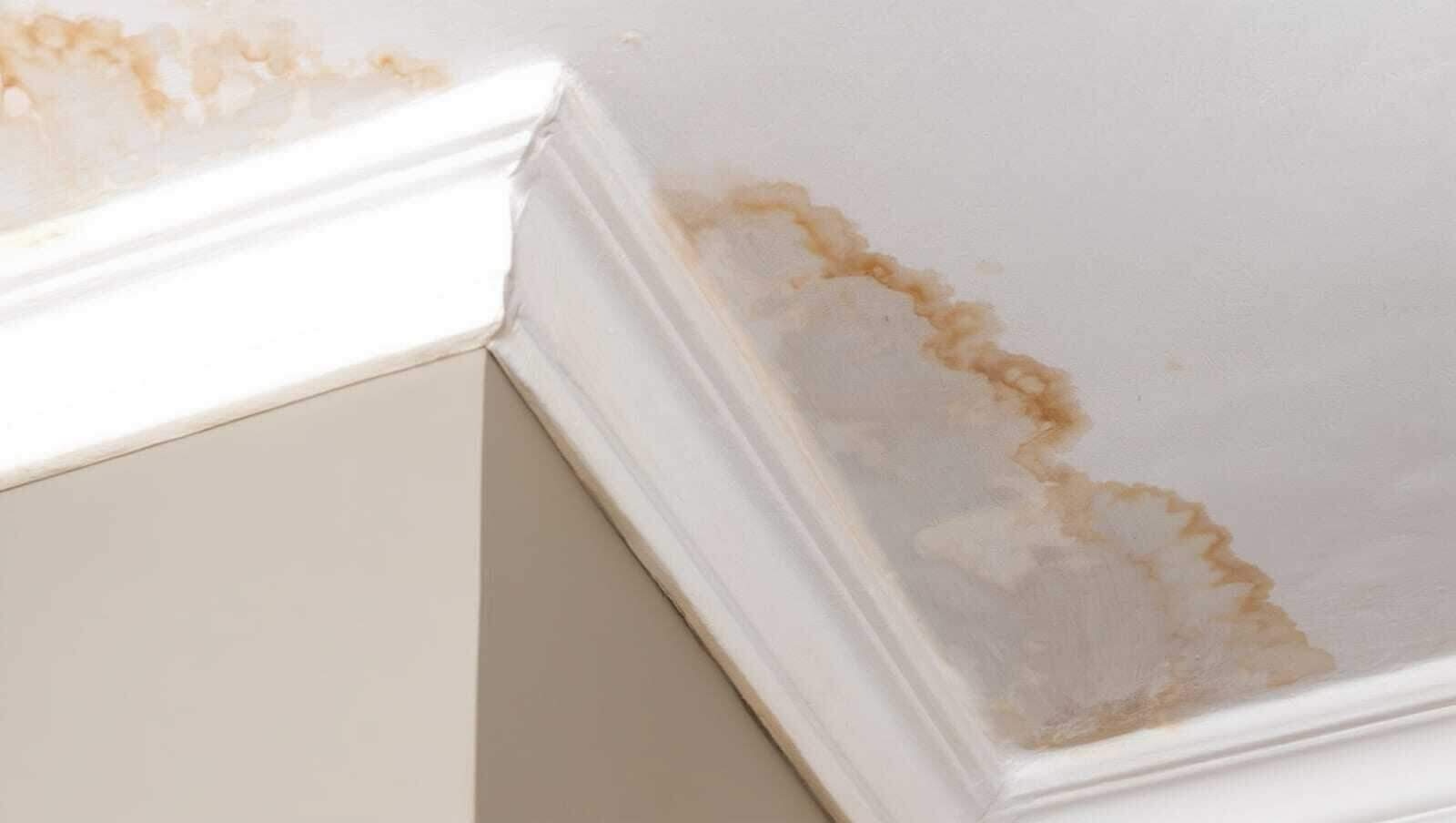 Water-stained and sagging ceiling under a storm-damaged roof in a Dallas, TX home